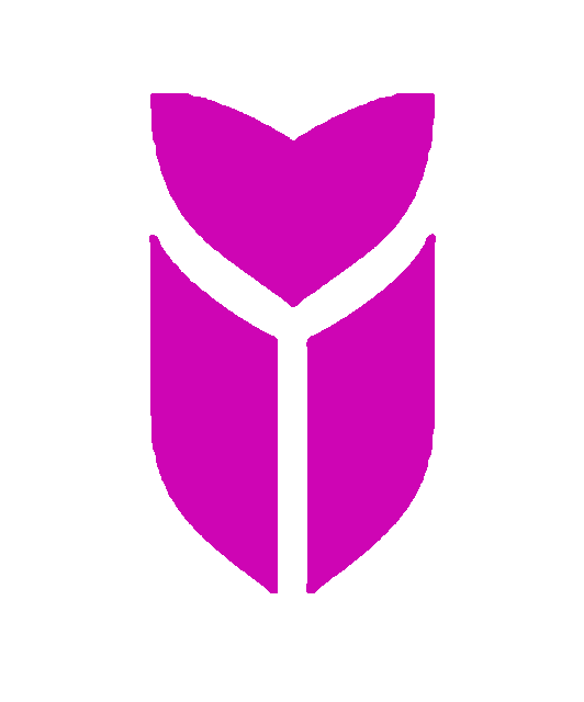 Call for papers ? Ratio Publica